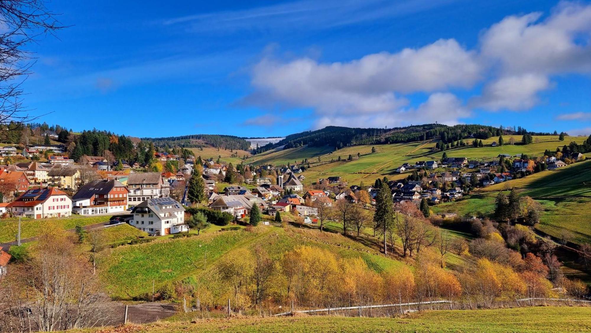 "Schwarzwaldblick" Ferienwohnung 2-4 Pers 65Qm, Schoene Ruhige Suedhanglage Mit Herrl Aussicht Todtnau Exterior foto